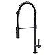 Bluffton Single-Handle Pull-Down Kitchen Faucet in Matte Black Finish