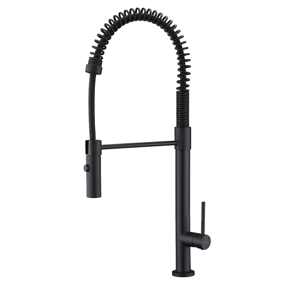Bluffton Single-Handle Pull-Down Kitchen Faucet with Dual-Function Sprayer, Matte Black