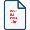 ZEBRA Pass-Through Ratchet Powerdriv&#174; Hexagon Socket, 16mm